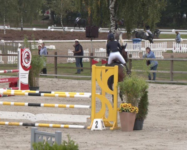 Reitturnier Westergellersen 2024