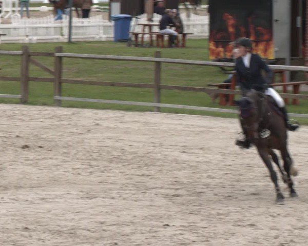 Reitturnier Westergellersen 2024