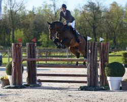 jumper Mr Connery B (Irish Sport Horse, 2018, from Ganesh Hero Z)