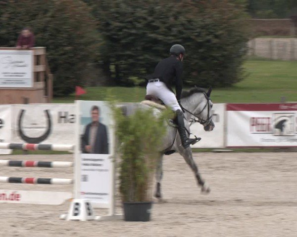 Reitturnier Westergellersen 2024