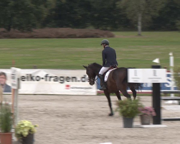 Reitturnier Westergellersen 2024