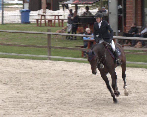 Reitturnier Westergellersen 2024