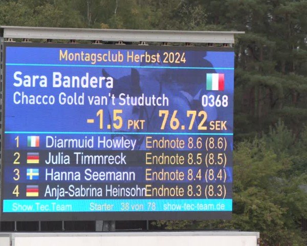 Reitturnier Westergellersen 2024