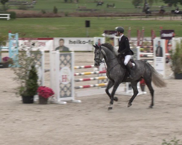 Reitturnier Westergellersen 2024
