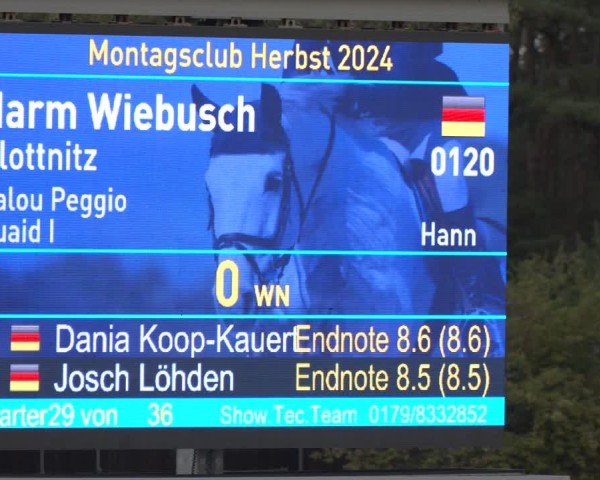 Reitturnier Westergellersen 2024