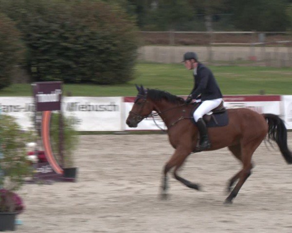 Reitturnier Westergellersen 2024