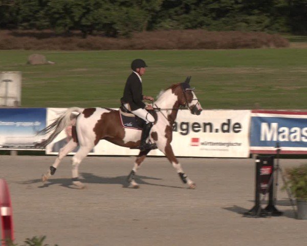 Reitturnier Westergellersen 2024