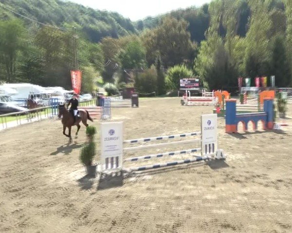 Reitturnier Tillmitsch 2024
