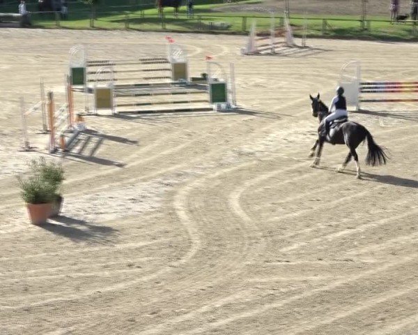 Reitturnier Dienstlhof 2024