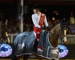 broodmare Madison D'Olgy (Selle Français, 2000, from Concorde)