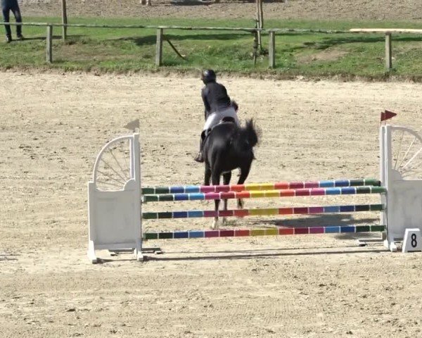 Reitturnier Dienstlhof 2024