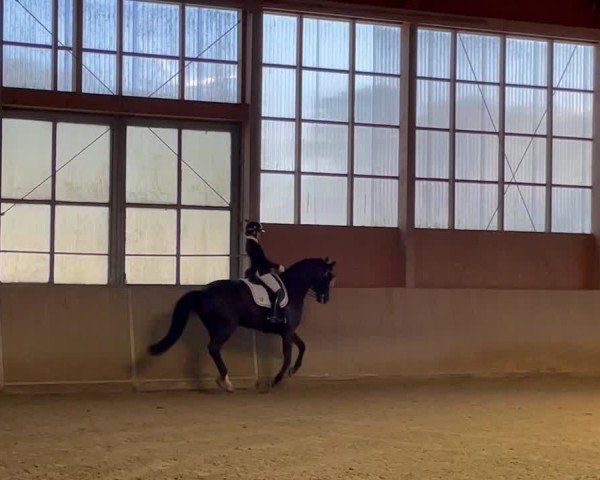 Video of Kobus S