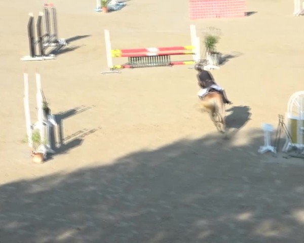 Reitturnier Dienstlhof 2024