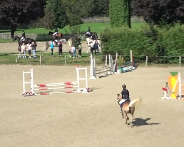 Reitturnier Dienstlhof 2024