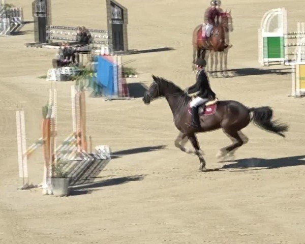 Reitturnier Dienstlhof 2024