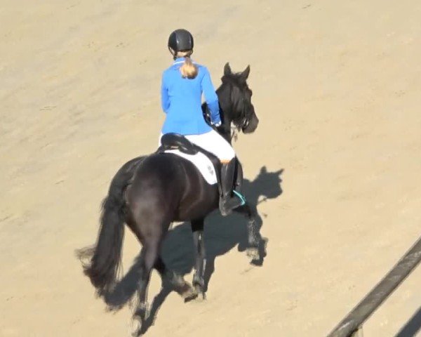 Reitturnier Dienstlhof 2024