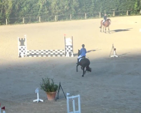 Reitturnier Dienstlhof 2024