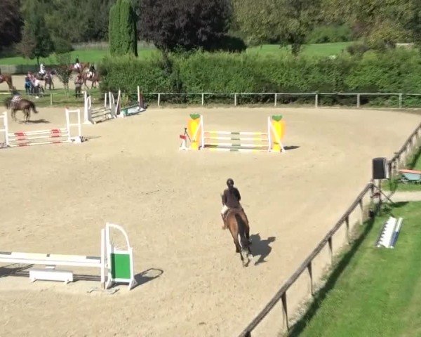 Reitturnier Dienstlhof 2024