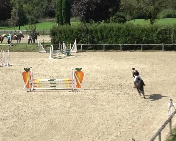 Reitturnier Dienstlhof 2024