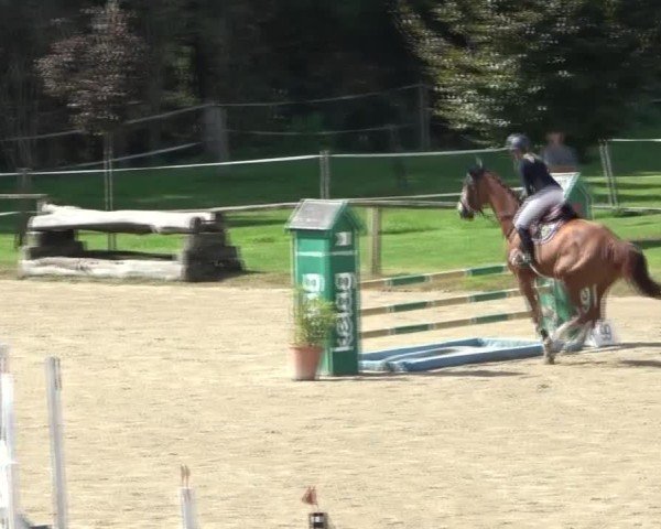 Reitturnier Dienstlhof 2024