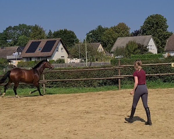 Video of Ingeborg M