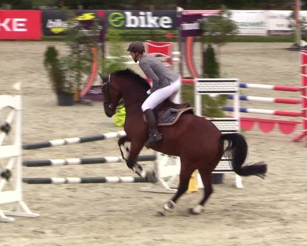 Reitturnier Westergellersen 2024