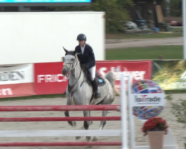 Reitturnier Westergellersen 2024