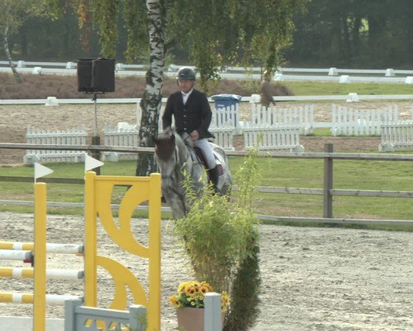 Reitturnier Westergellersen 2024