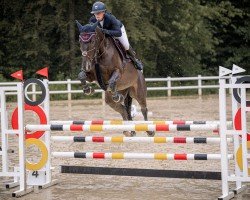 jumper Lisbeth K (German Sport Horse, 2018, from Lexicon)