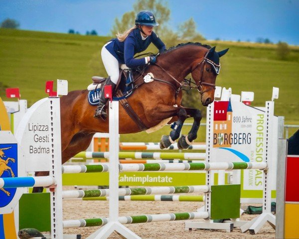 dressage horse Legolas 200 (Württemberger, 2012, from Lingh)