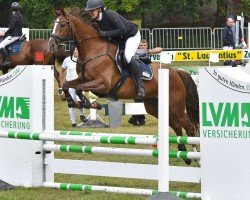 jumper In Time 15 (German Sport Horse, 2018, from Integral xx)