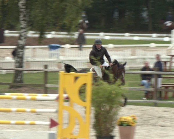 Reitturnier Westergellersen 2024