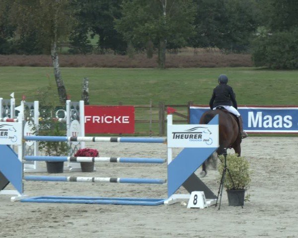 Reitturnier Westergellersen 2024
