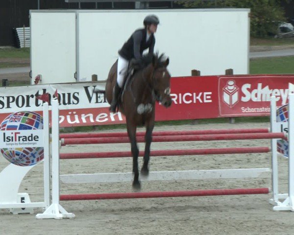 Reitturnier Westergellersen 2024