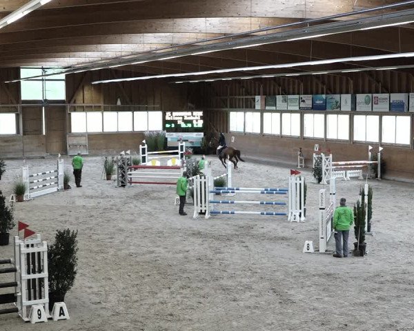 Reitturnier Rüti 2021