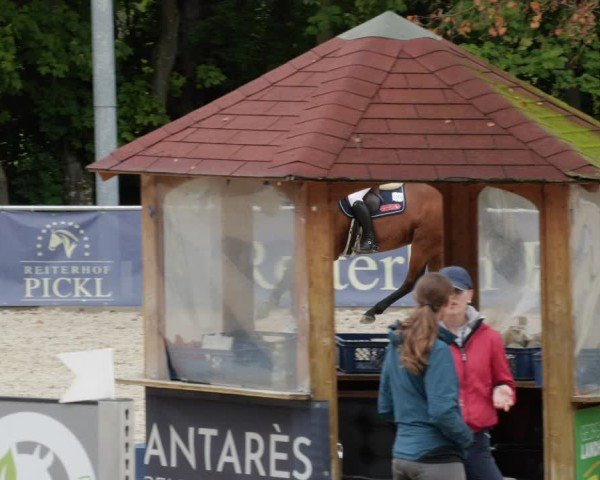 Reitturnier Karlsfeld/Obb. 2024
