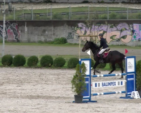 Reitturnier Basel 2024