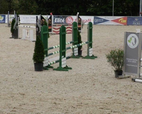 Reitturnier Karlsfeld/Obb. 2024