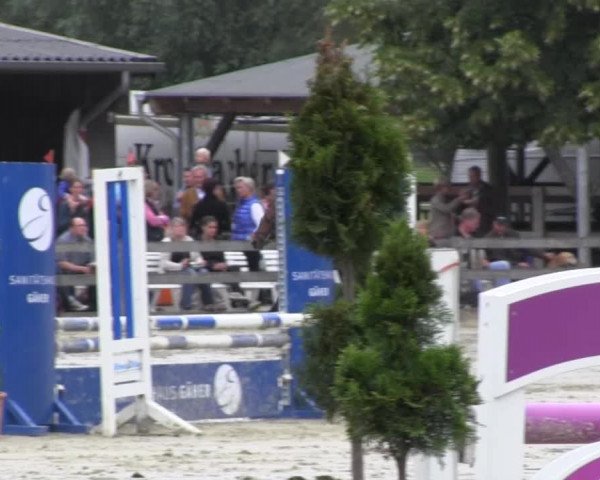 Reit- und Springturnier Münster-Roxel 2013