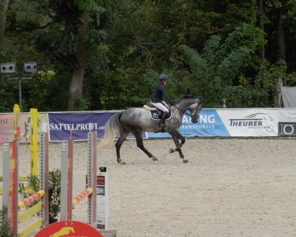 Reitturnier Karlsfeld/Obb. 2024