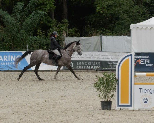 Reitturnier Karlsfeld/Obb. 2024