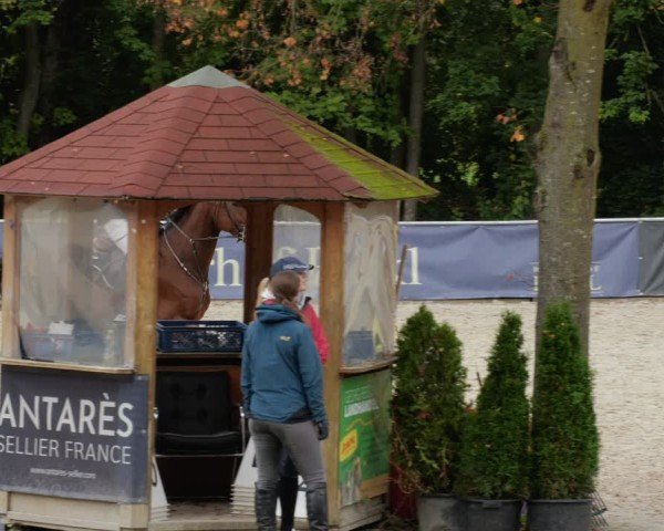 Reitturnier Karlsfeld/Obb. 2024