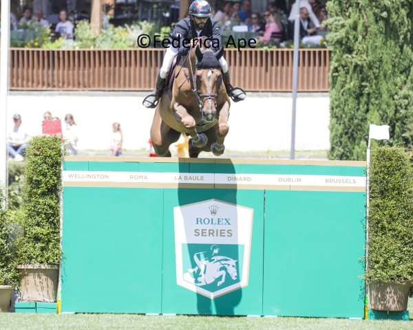 jumper Cjoxx Z (Zangersheide riding horse, 2014, from Comme il Faut)