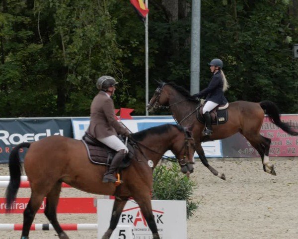 Reitturnier Karlsfeld/Obb. 2024