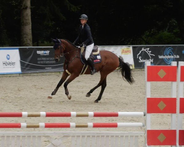 Reitturnier Karlsfeld/Obb. 2024