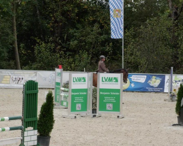 Reitturnier Karlsfeld/Obb. 2024
