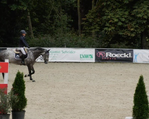 Reitturnier Karlsfeld/Obb. 2024