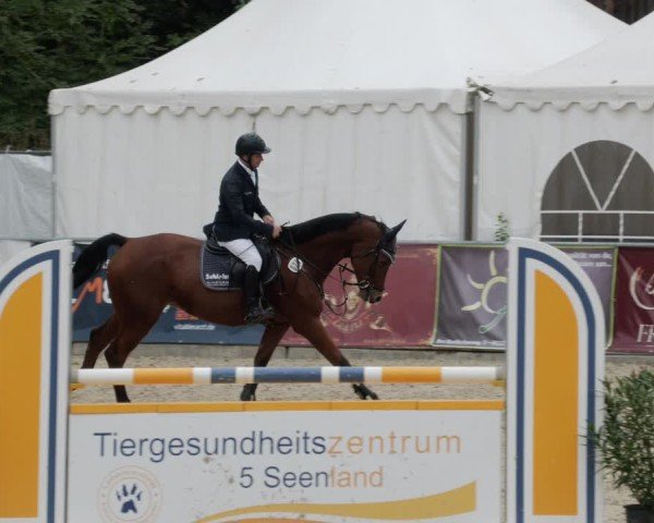 Reitturnier Karlsfeld/Obb. 2024