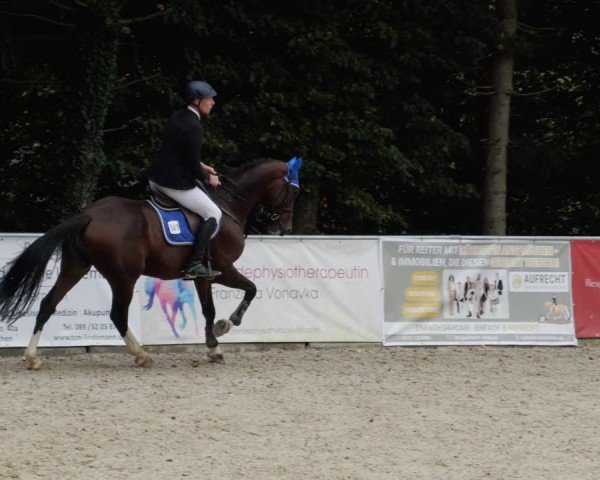 Reitturnier Karlsfeld/Obb. 2024