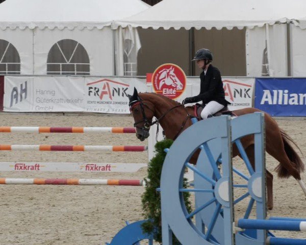 Reitturnier Karlsfeld/Obb. 2024